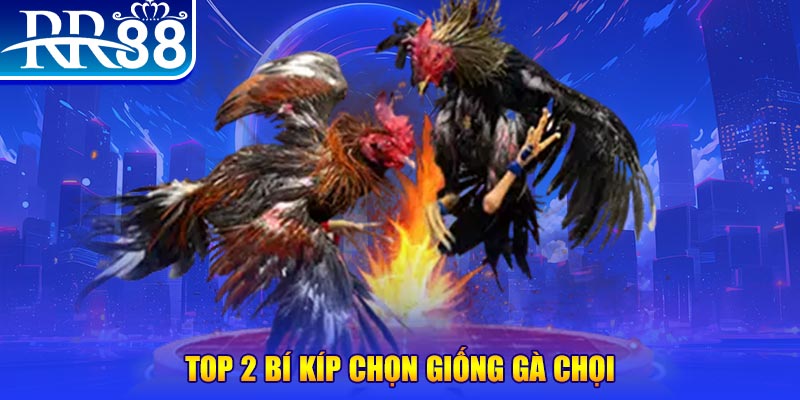 ee88 app đá gà hôm nay