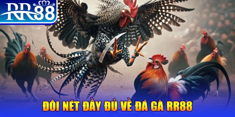 ee88 app Bài Poker Joker