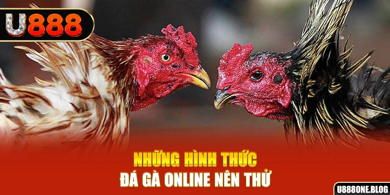 ee88 app PT Điện Tử