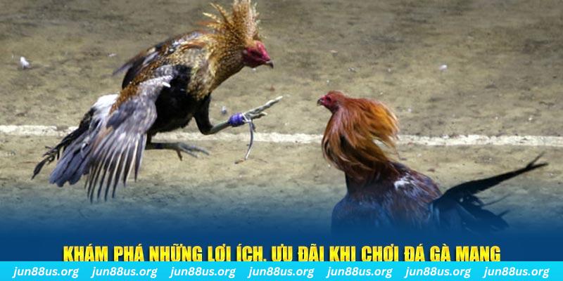 ee88 app xổ số bình định