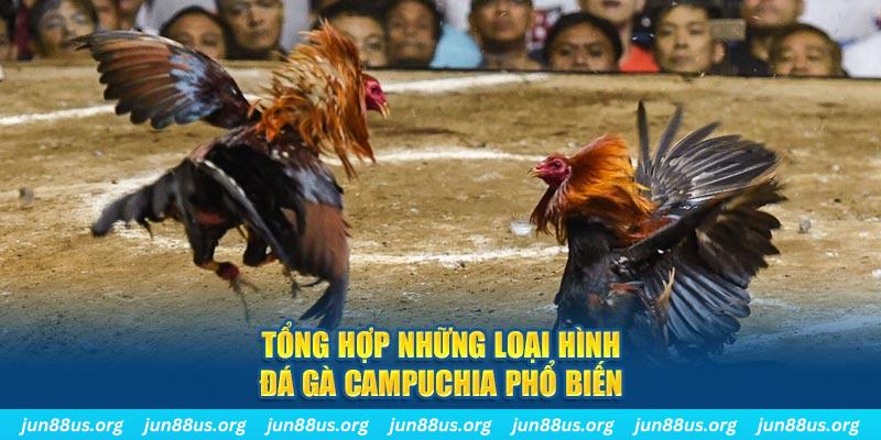 TP Điện Tử