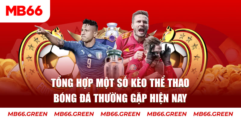 máy thu cước bắn cá