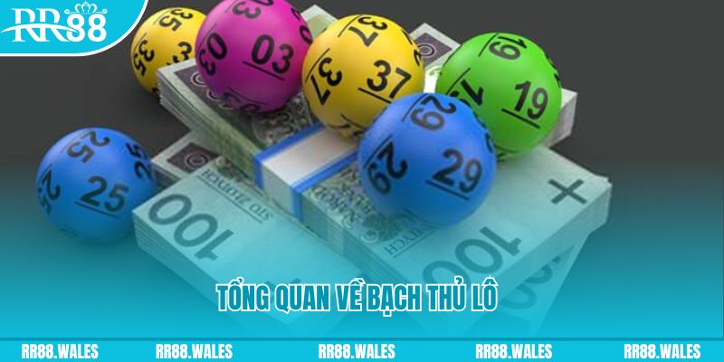 ee88 app đăng nhập mậu binh số 1