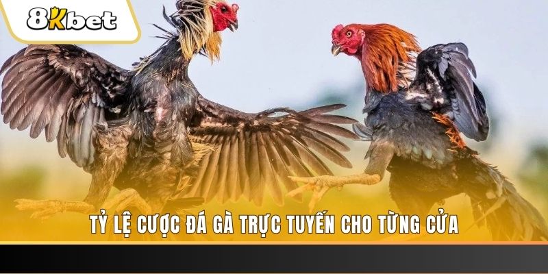 ee88 app đá gà trực tiếp c1